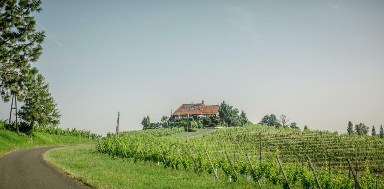 Taverna & Wine Jeruzalem Ivanjkovci Exterior photo